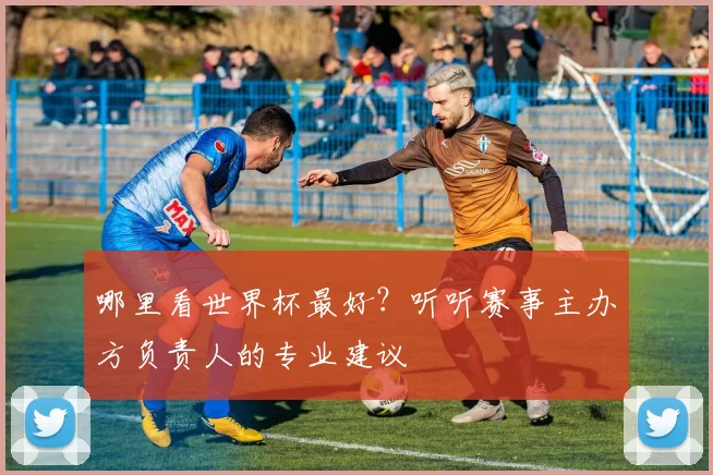 哪里看世界杯最好?听听赛事主办方负责人的专业建议
