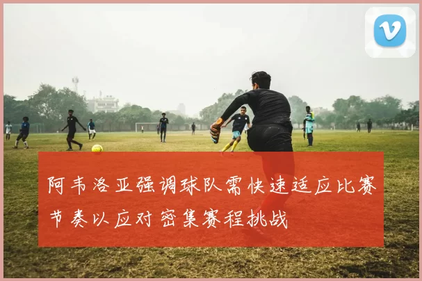 阿韦洛亚强调球队需快速适应比赛节奏以应对密集赛程挑战
