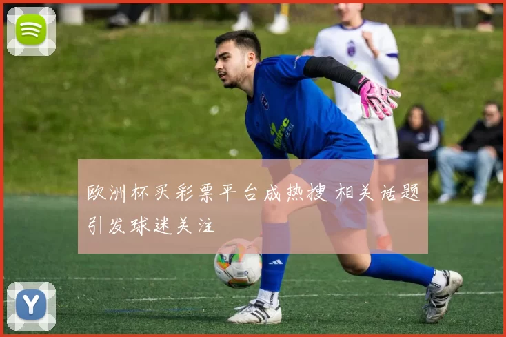 欧洲杯买彩票平台成热搜 相关话题引发球迷关注