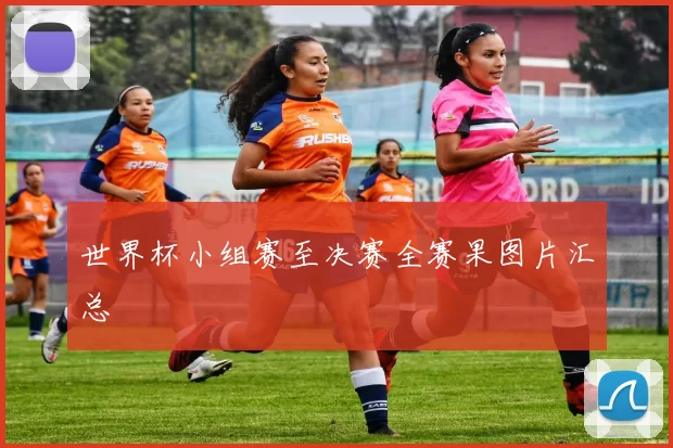 世界杯小组赛至决赛全赛果图片汇总