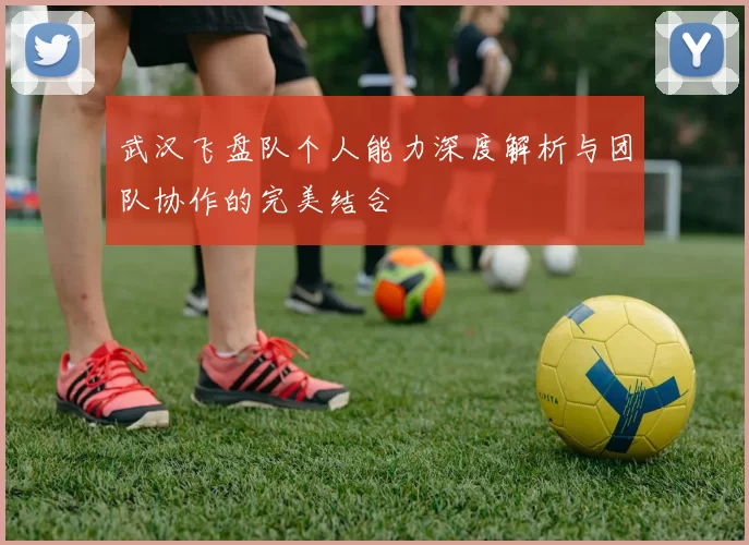 武汉飞盘队个人能力深度解析与团队协作的完美结合