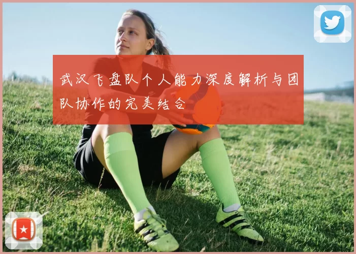武汉飞盘队个人能力深度解析与团队协作的完美结合